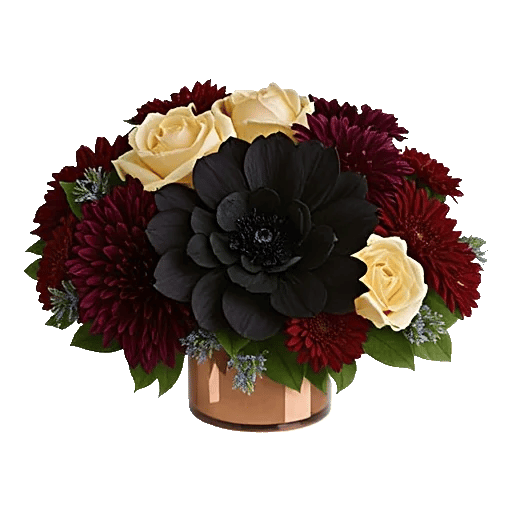 Deep Red Foliage