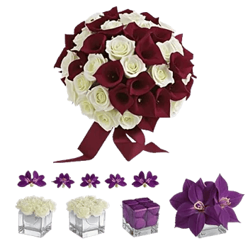 Elegant Calla Lilies