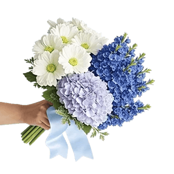 Sapphire Bloom Whisper