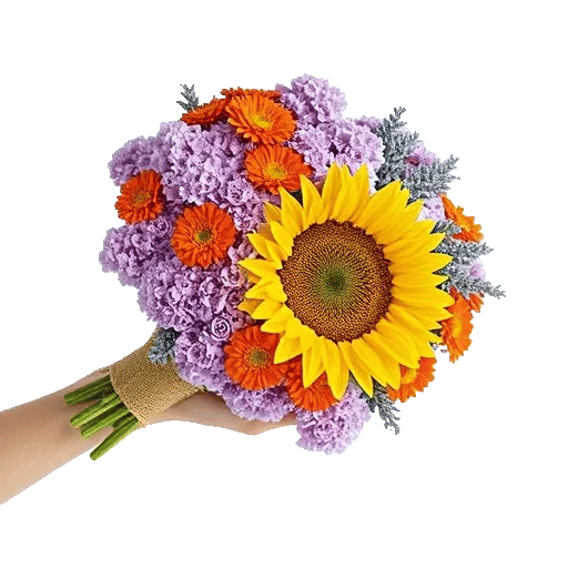 Blushing Rose Symphony