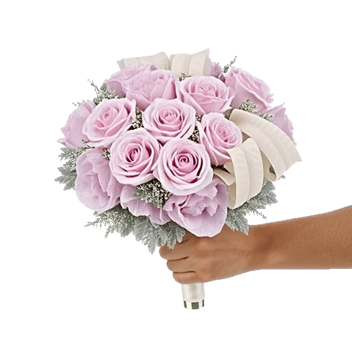 Pastel Pink Roses