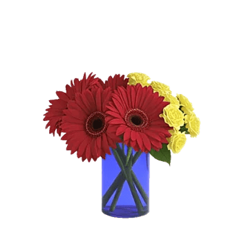 Petal Radiance Bliss