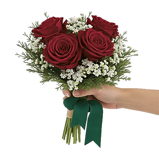 Crimson Rose Elegance