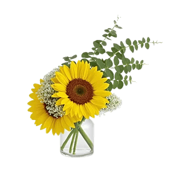 Radiant Bloom Cascade