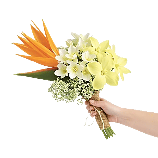 Tropical Sunflower Burst