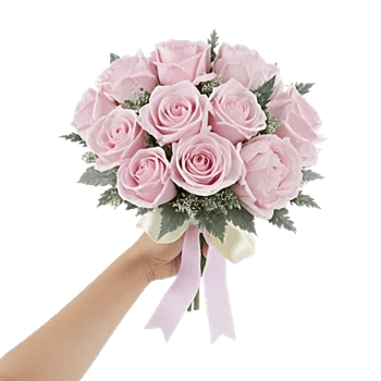 Pastel Pink Roses
