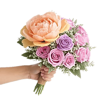 Peony Petal Harmony