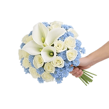 Elegant Calla Lilies