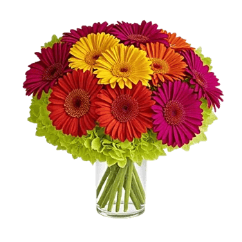 Blossom Glow Symphony