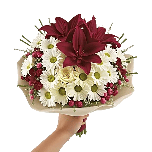 Blushing Rose Symphony