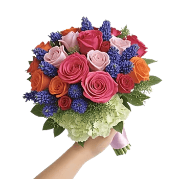 Pastel Pink Roses