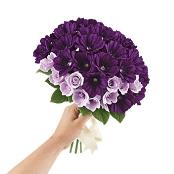 Petal Softness Display