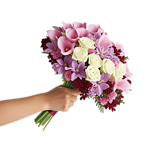 Elegant Calla Lilies