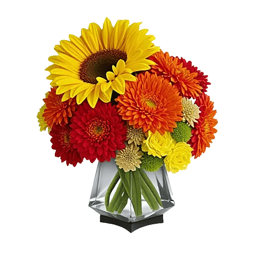 Radiant Bloom Cascade