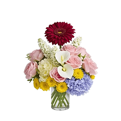 Crimson Blossom Harmony