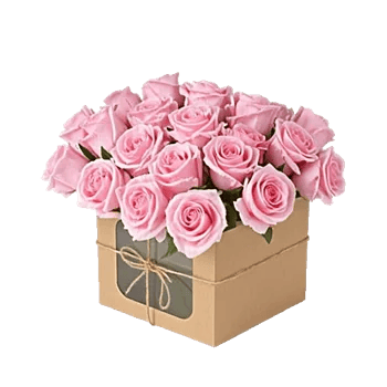 Pastel Pink Roses