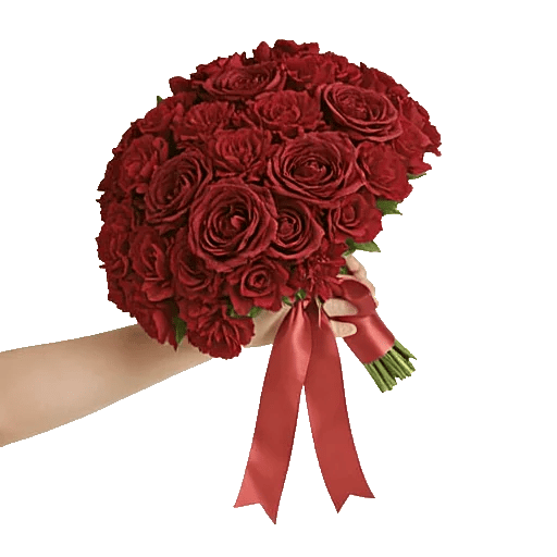 Blushing Rose Symphony