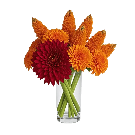 Crimson Blossom Harmony