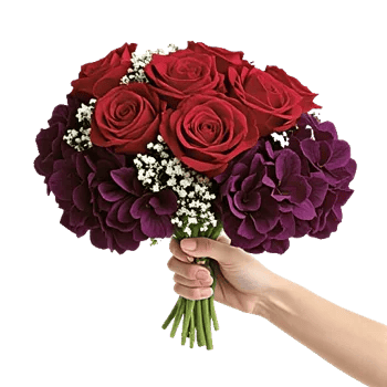 Serene Petal Harmony