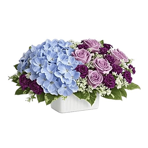 Serene Petal Harmony