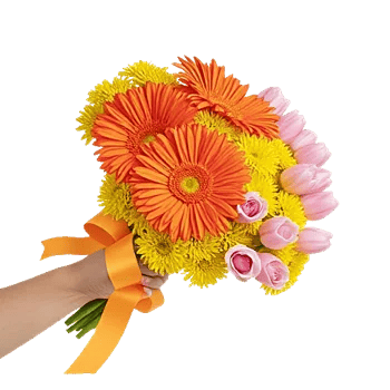 Petal Harmony Bliss