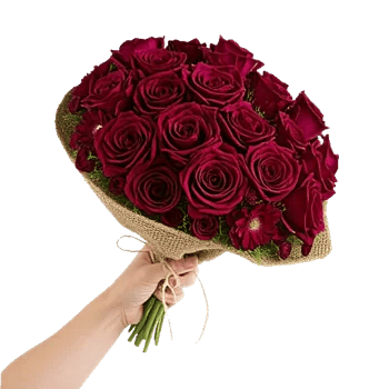 Crimson Rose Elegance