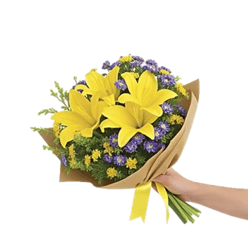 Blossom Harmony Display