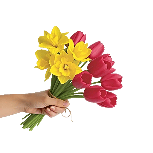 Blossom Harmony Display