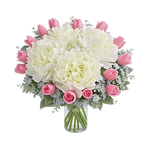 Serene Petal Harmony