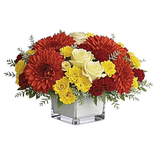 Radiant Bloom Cascade