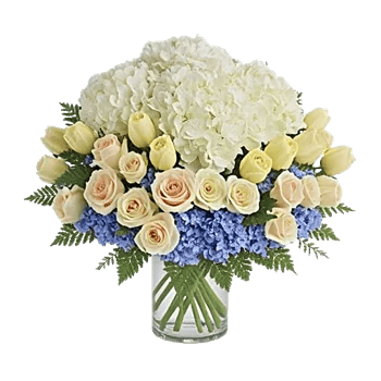 Ivory Blossom Radiance