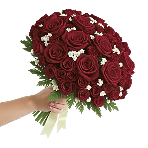 Crimson Rose Elegance