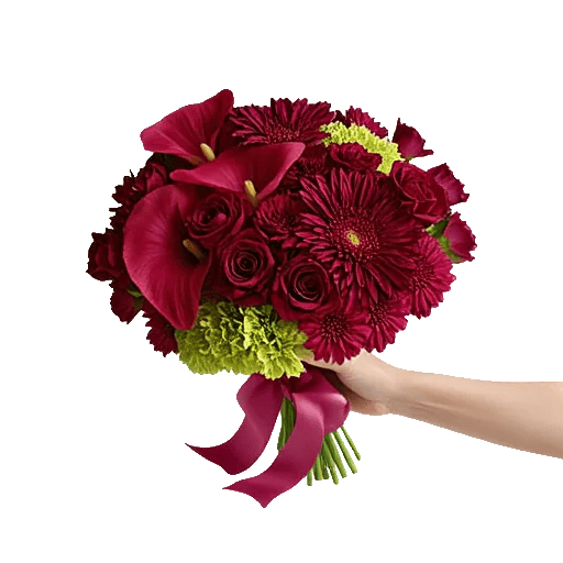 Elegant Calla Lilies