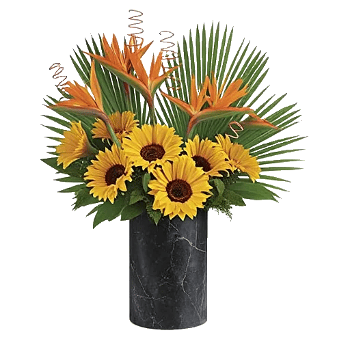Tropical Sunflower Burst