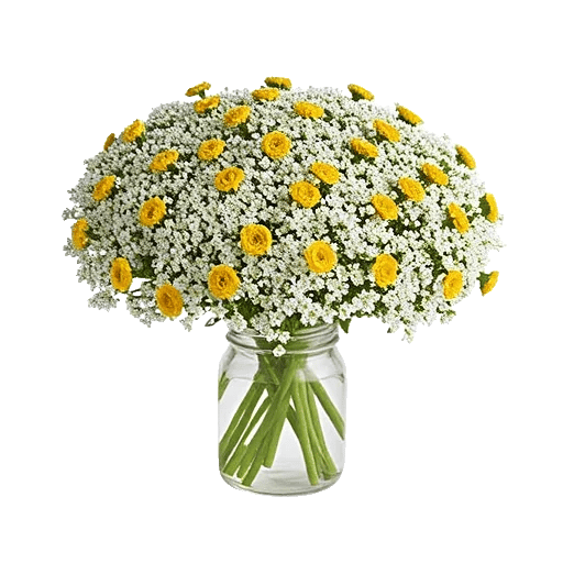 Blossom Radiant Whisper