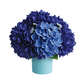 Sapphire Bloom Whisper