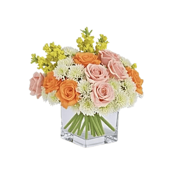 Petal Harmony Bliss