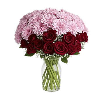 Pink Pastel Roses