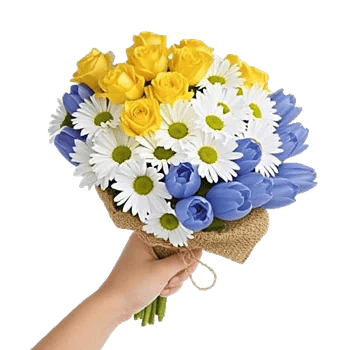 Blossom Petal Serenity