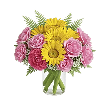 Enchanting Daisy Garden