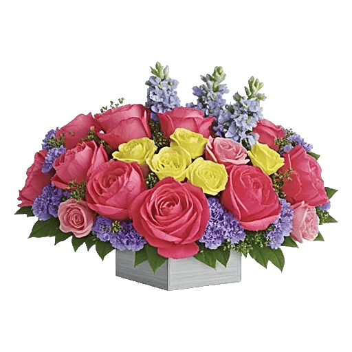 Delicate Petal Cascade