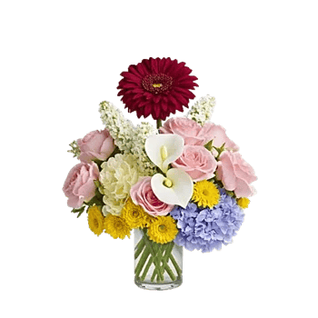 Crimson Blossom Harmony