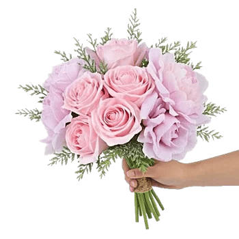 Pastel Pink Roses