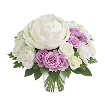 Petal Radiance Bliss