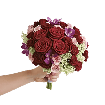 Blushing Rose Symphony
