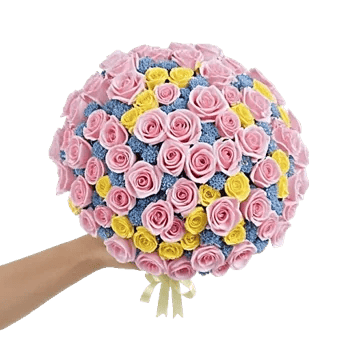 Blushing Rose Symphony