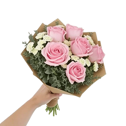 Blushing Rose Symphony