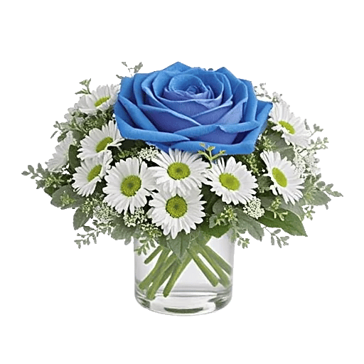 Elegant Blue Roses