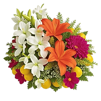 Modern White Orchids
