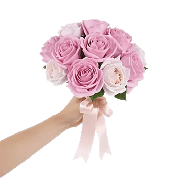 Peony Petal Harmony